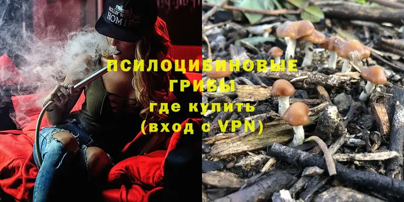 Псилоцибиновые грибы Magic Shrooms  даркнет сайт  Череповец 